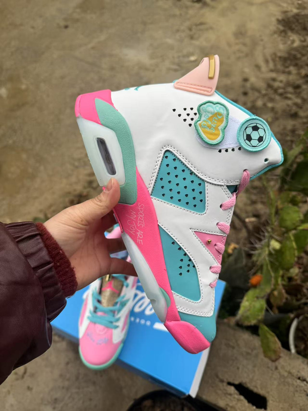 Air Jordan 6 Retro 'Blue-Pink'